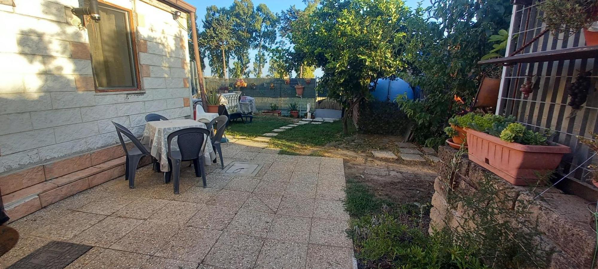Garden *