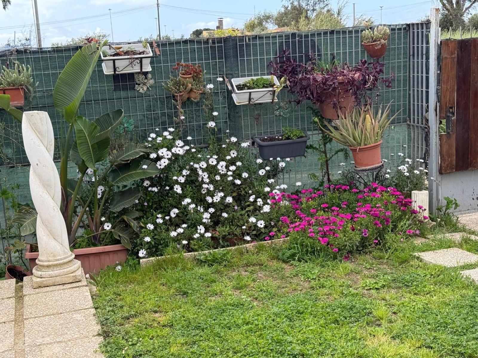 Apartment Garden